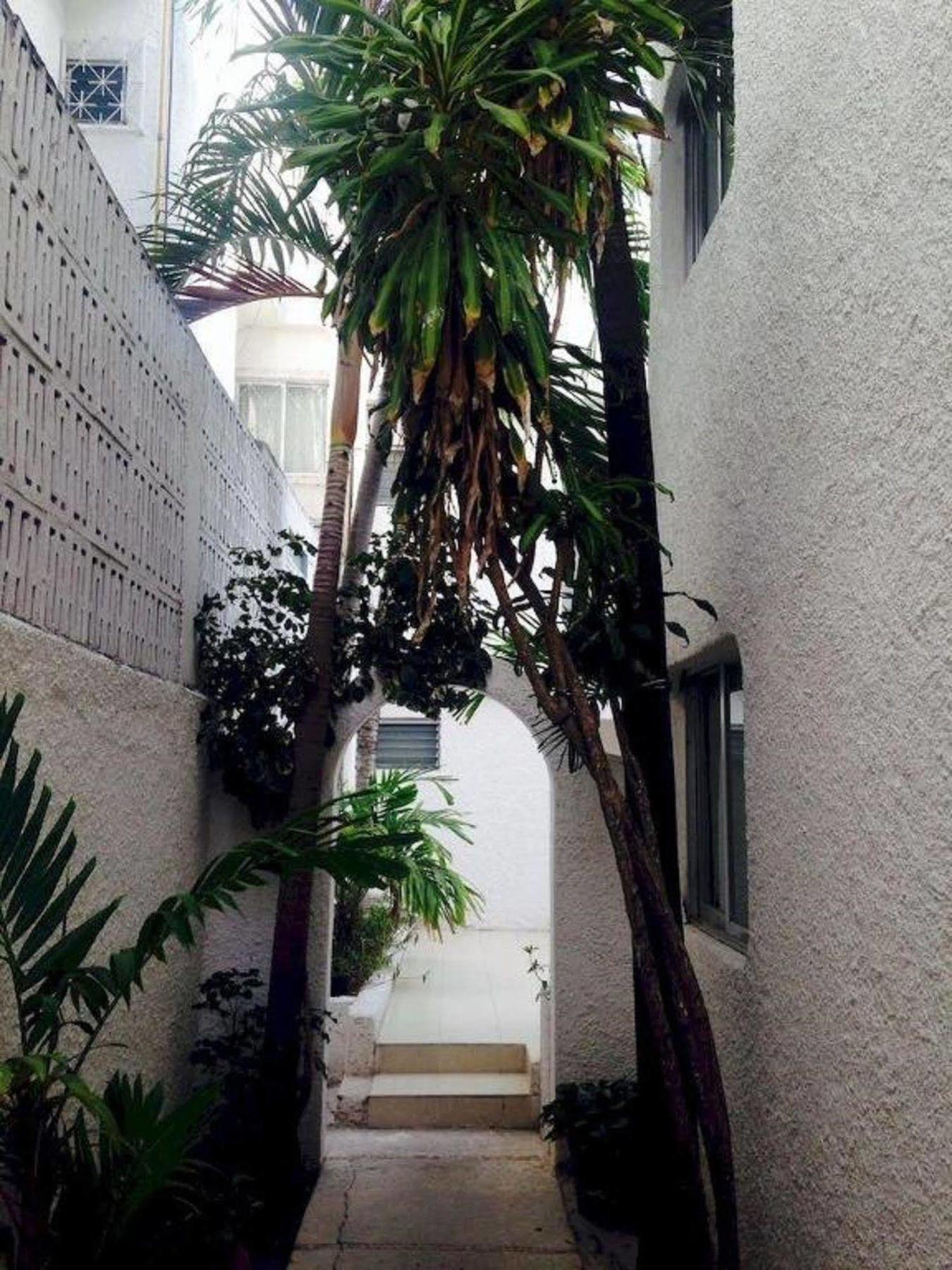 Hotel Plaza Carrillo'S Cancun Bagian luar foto